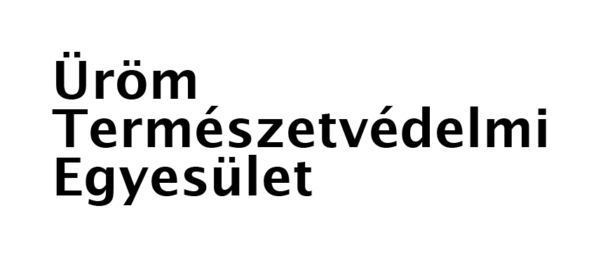 UTE